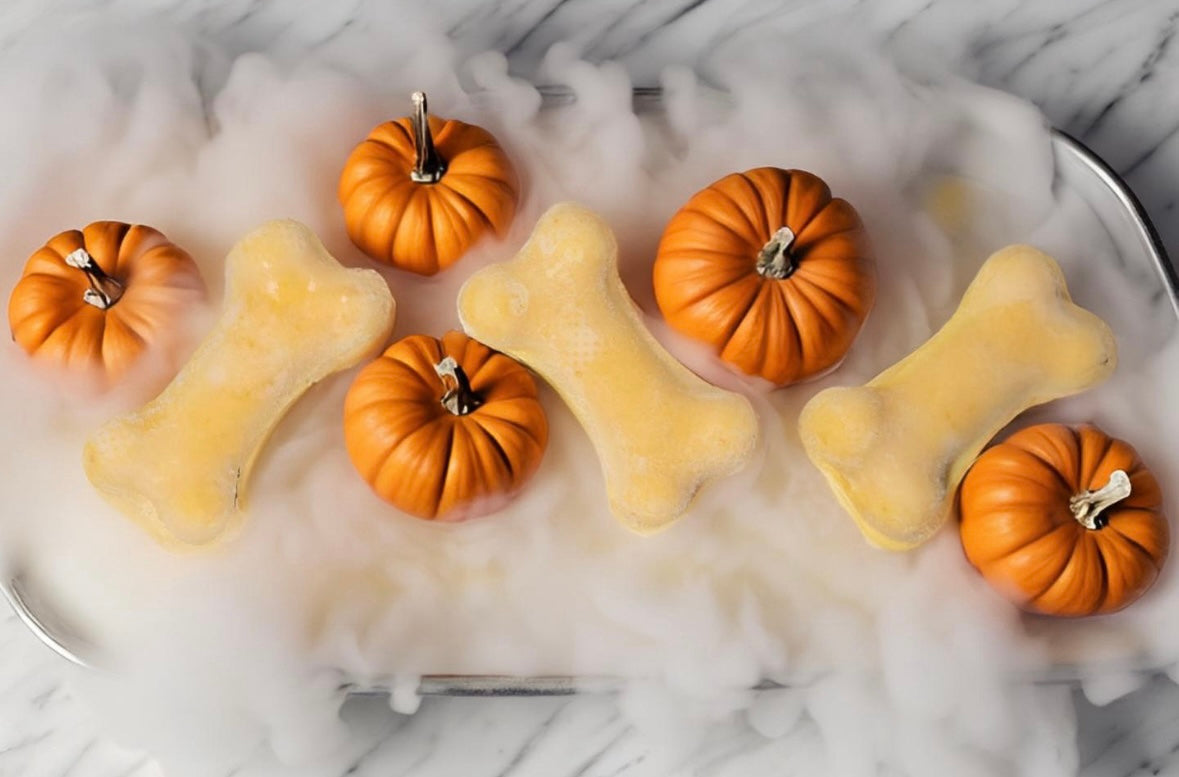 Ice Cream Pucks- Pumpkin Harvest