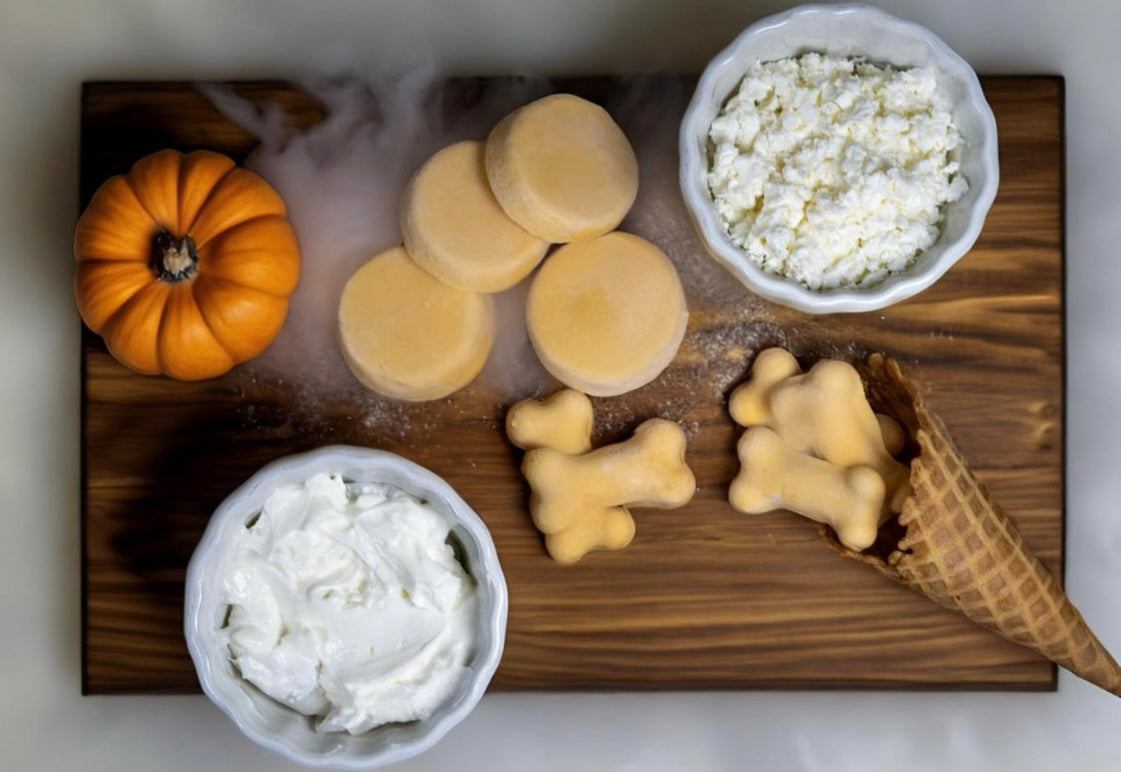 Ice Cream Pucks- Pumpkin Harvest